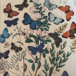 Hi I'm Carolyn Marie